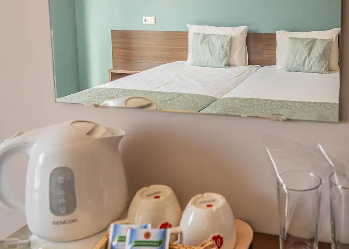 Valeo Ξενοδοχείο Μπαλτσίκ