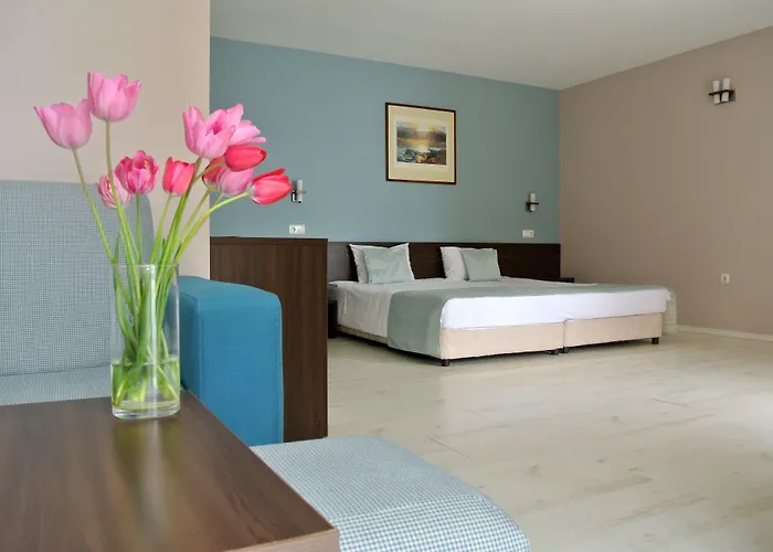 Ξενοδοχείο Valeo Μπαλτσίκ